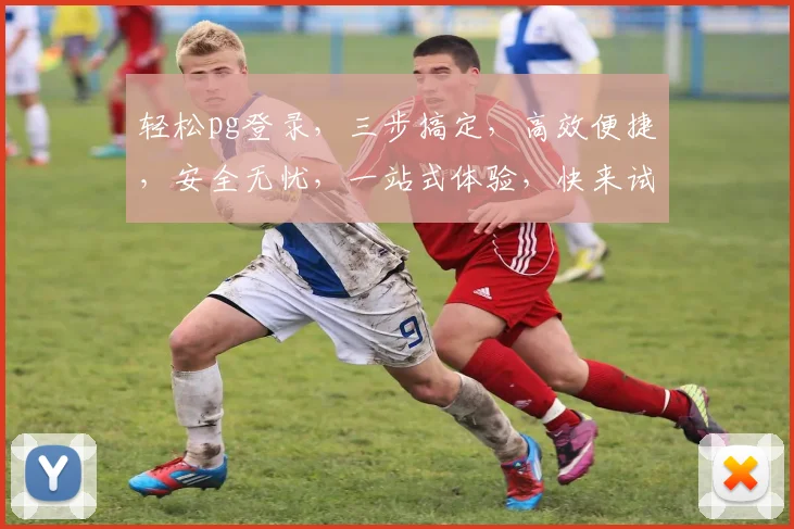轻松pg登录，三步搞定，高效便捷，安全无忧，一站式体验，快来试试吧