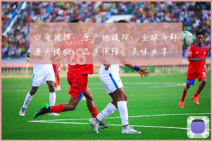 公海捕捞，原产地追踪，全球海鲜源头揭秘，品质保障，美味共享
